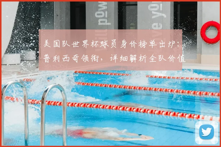 美国队世界杯球员身价榜单出炉：普利西奇领衔，详细解析全队价值构成与排行